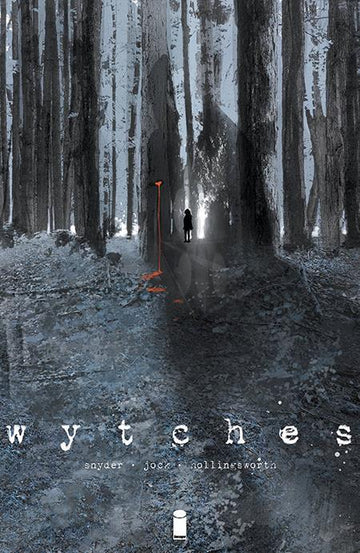 Convention Exclusive Wytches Vol 01 [HC] Jock Cvr