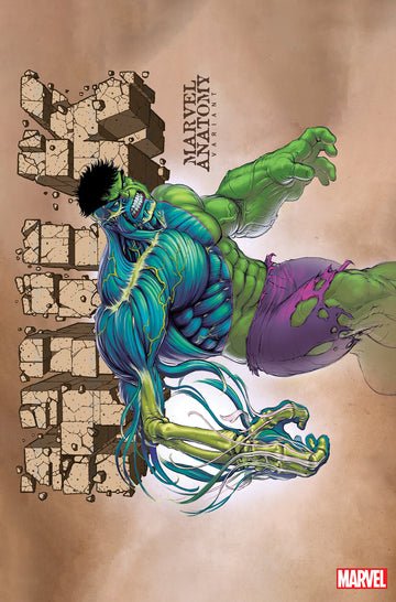 Coinz Comics, Marvel, Hulk #11 Cvr (2023),  Cover