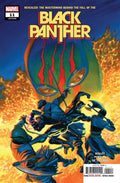  BLACK PANTHER #11 (2022)- CVR (Main) Alex Ross, CVR (Variant) Takashi Okazaki- MARVEL- Coinz Comics 